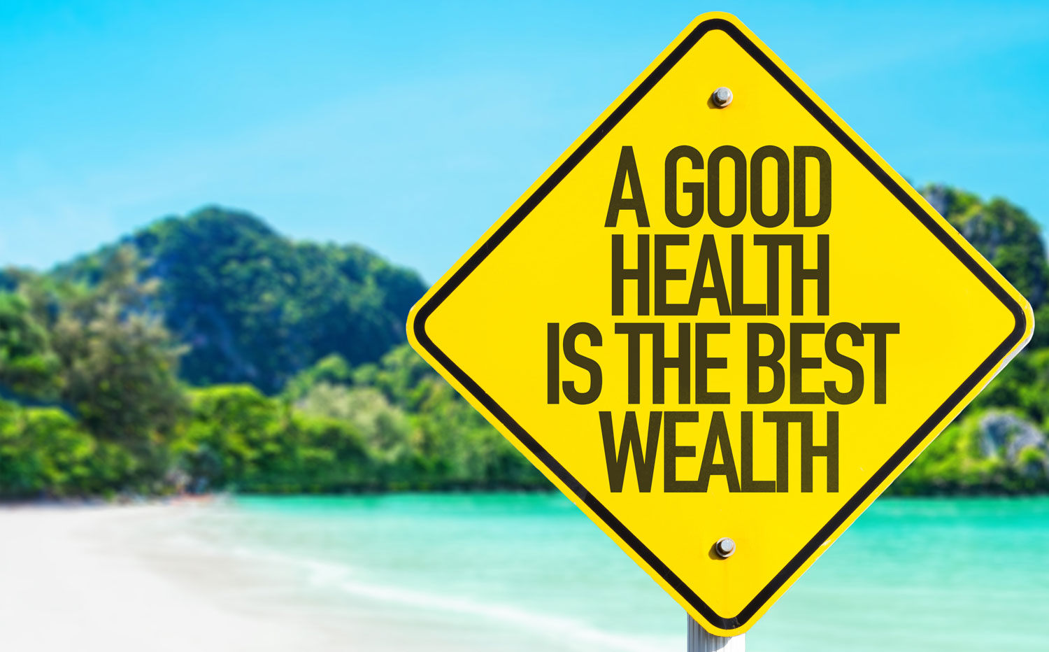 Wealth Is Health