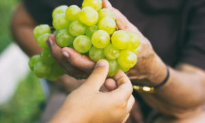 7 Scientifically Proven Health Benefits of Grapes