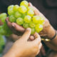 7 Scientifically Proven Health Benefits of Grapes